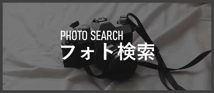 photo search